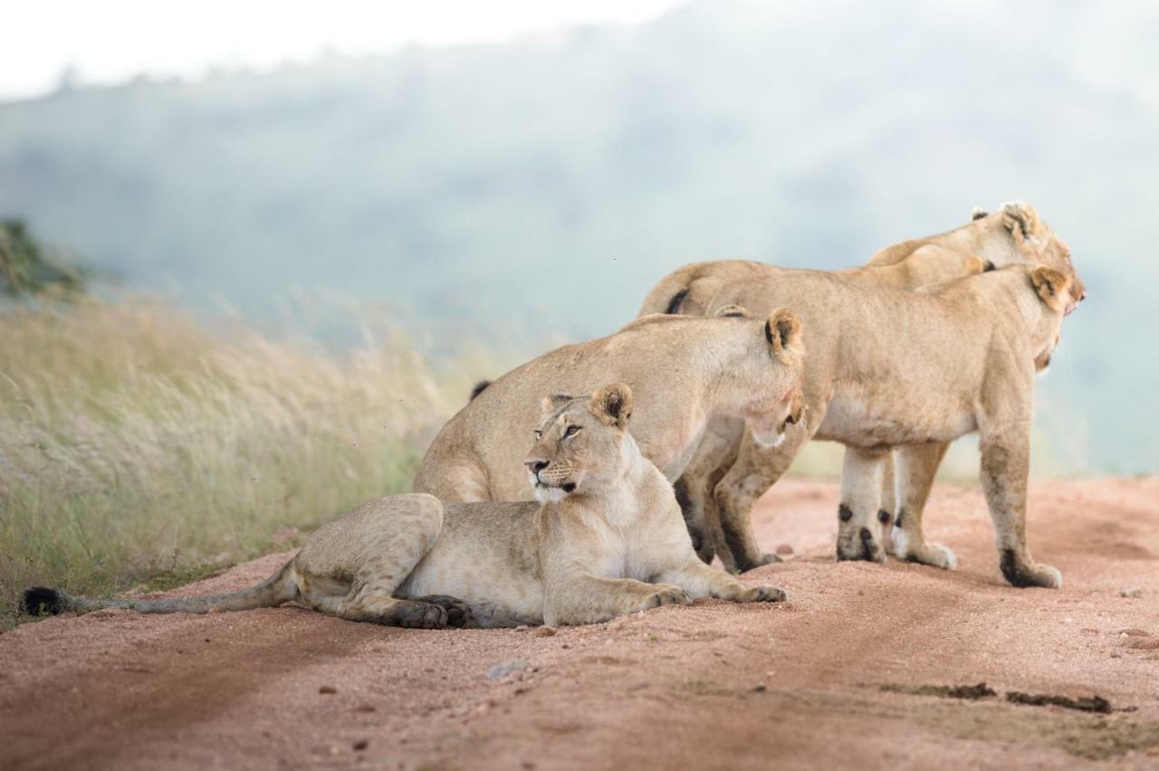 Taasa Lodge Serengeti Exterior photo